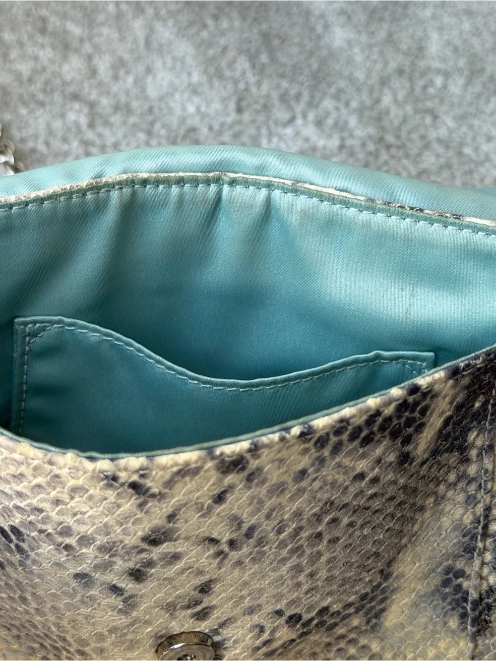 Coach Kristin Python Embossed Leather Crossbody Bag Silver Chain
